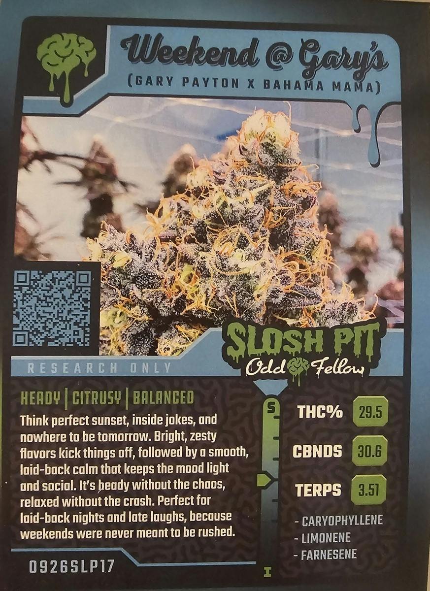 Weekend @ Gary's | 3.5G Flower | OddFellow