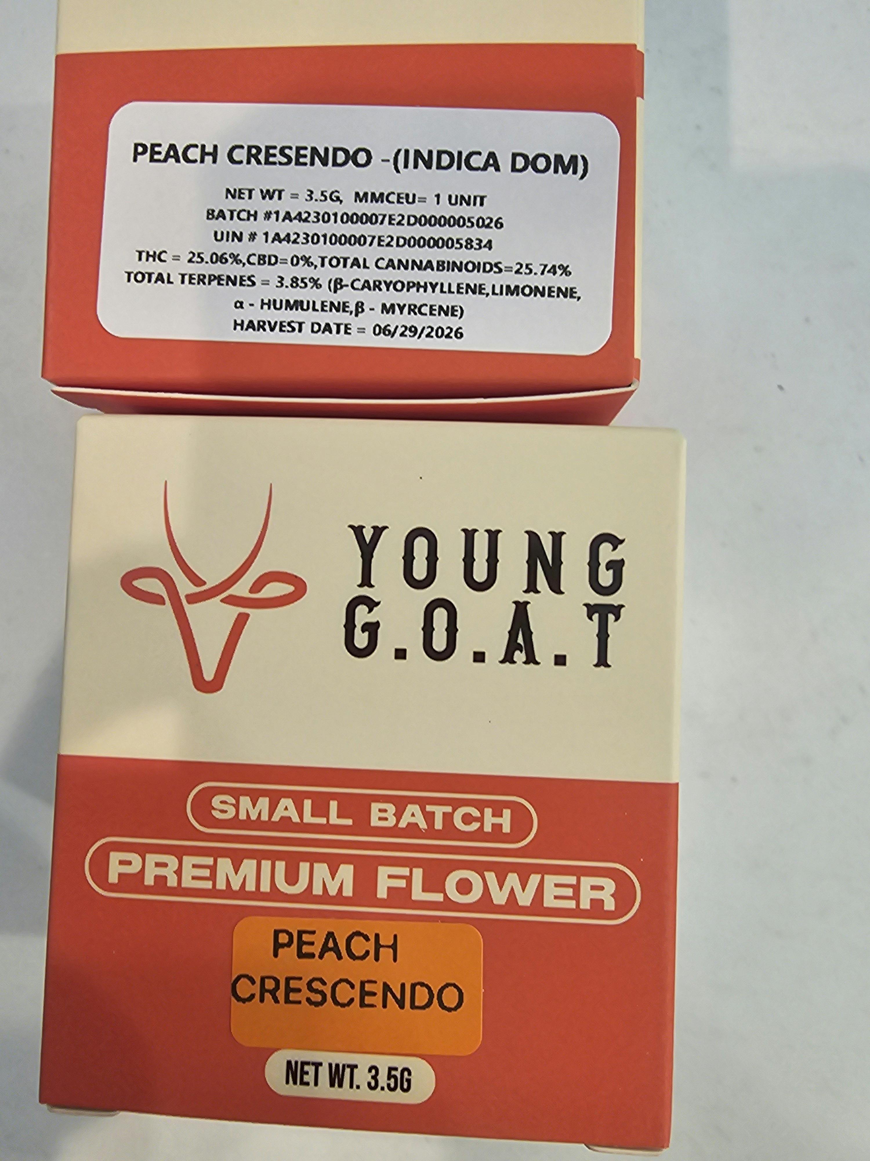 PEACH CRESCENDO | 3,5G FLOWER | YOUNG GOAT