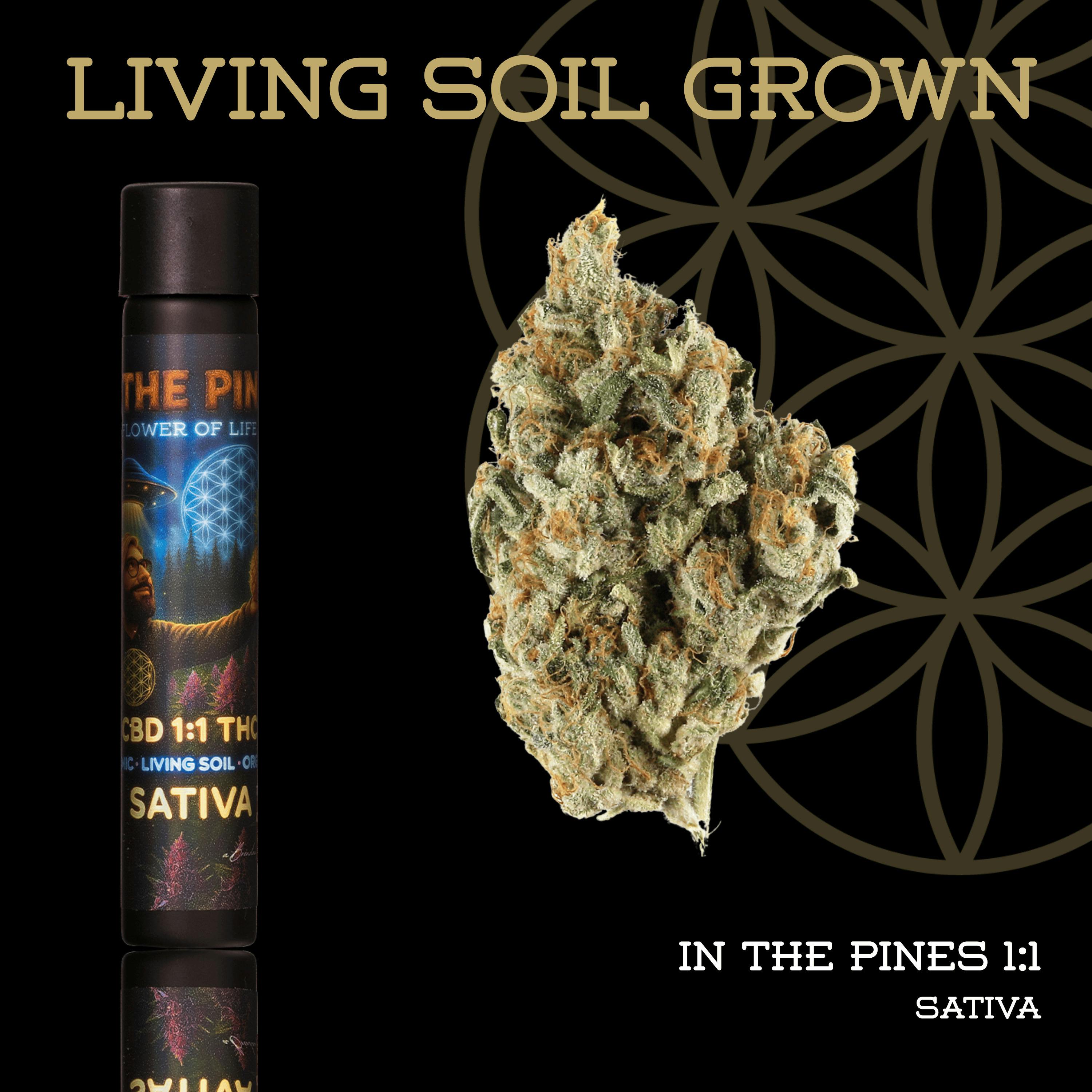 In The Pines | Pre-Roll | 1g | Living Soil by Flower of Life