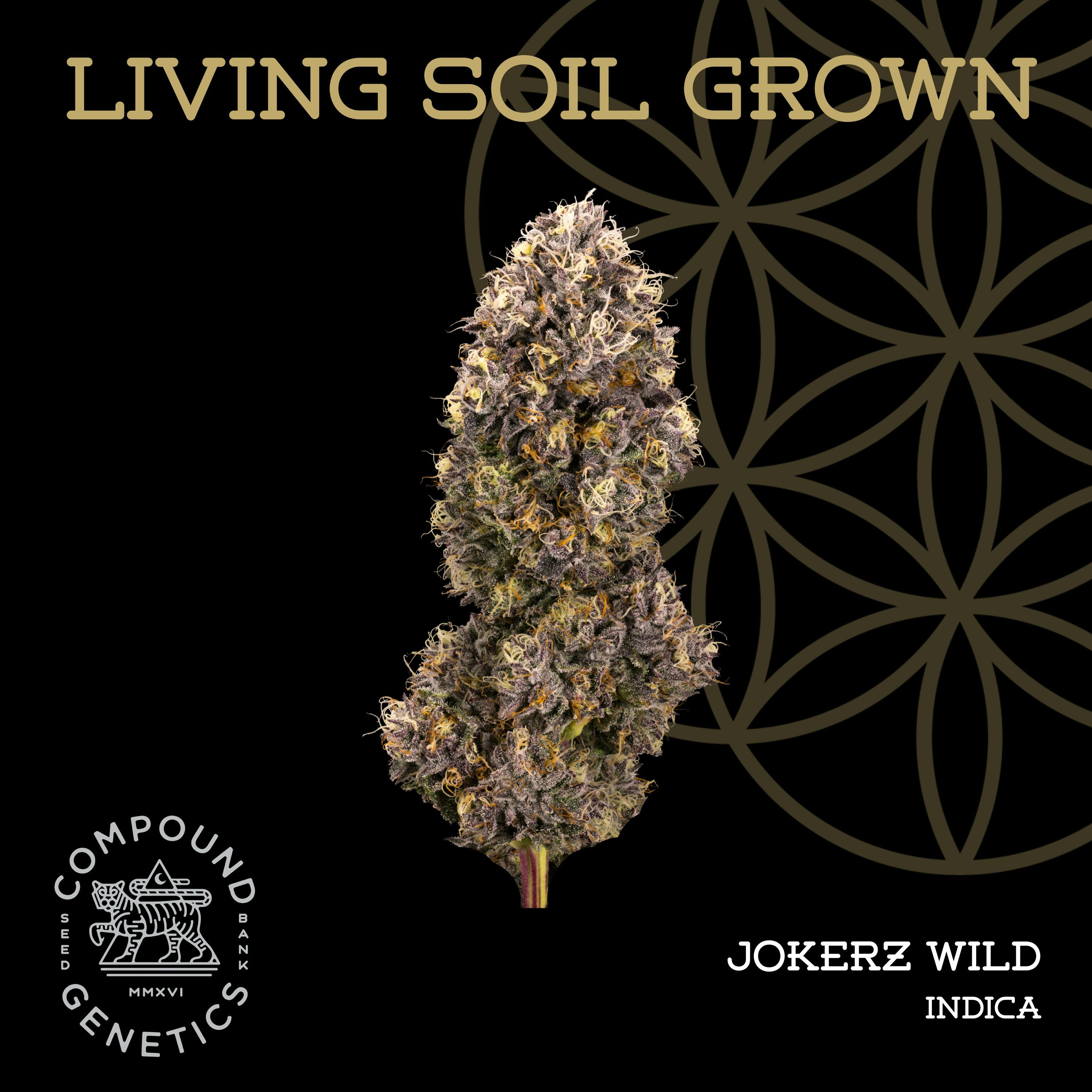 Jokerz Wild | Bulk Deli | Living Soil by Flower of Life