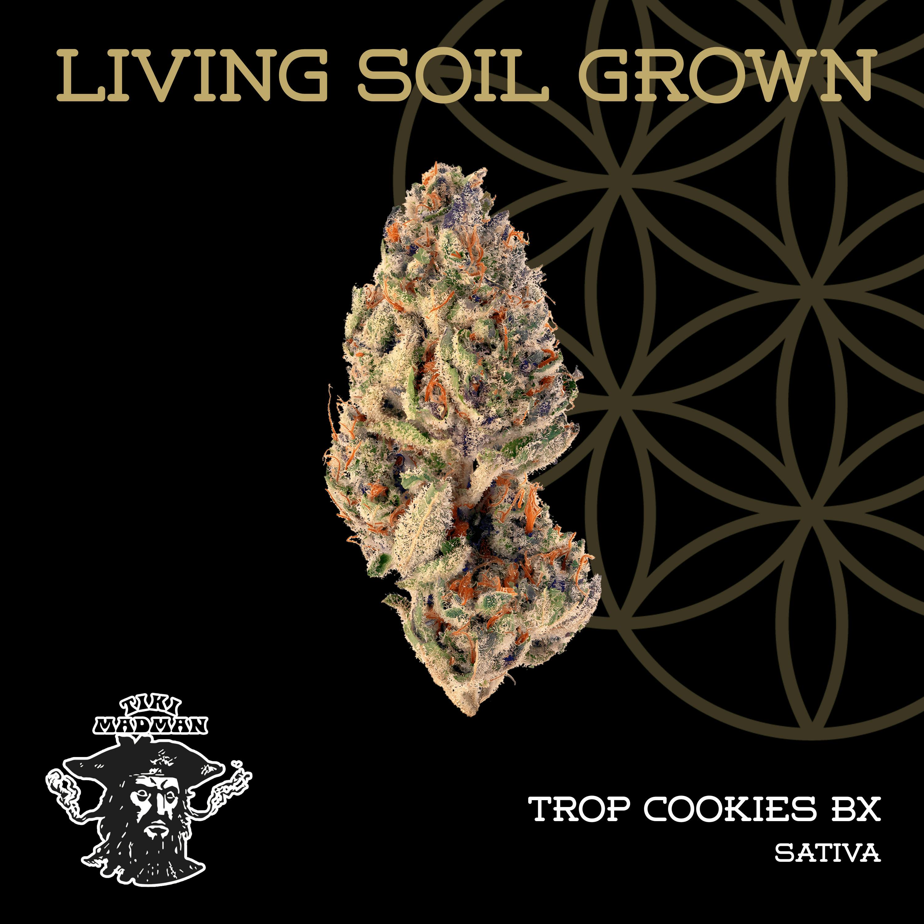 Tropicana Cookies BX | Bulk Deli | Living Soil