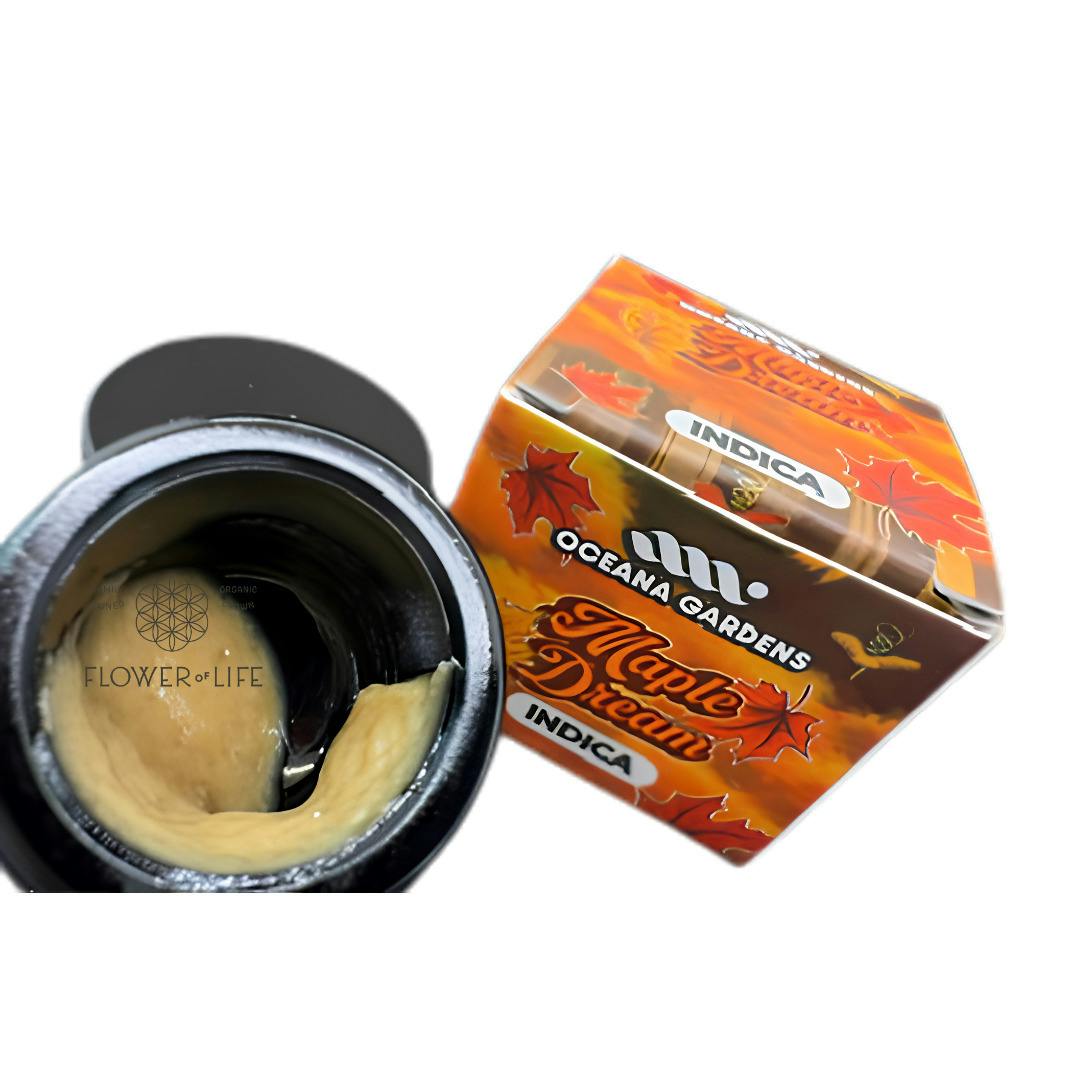 Maple Dream | Live Rosin