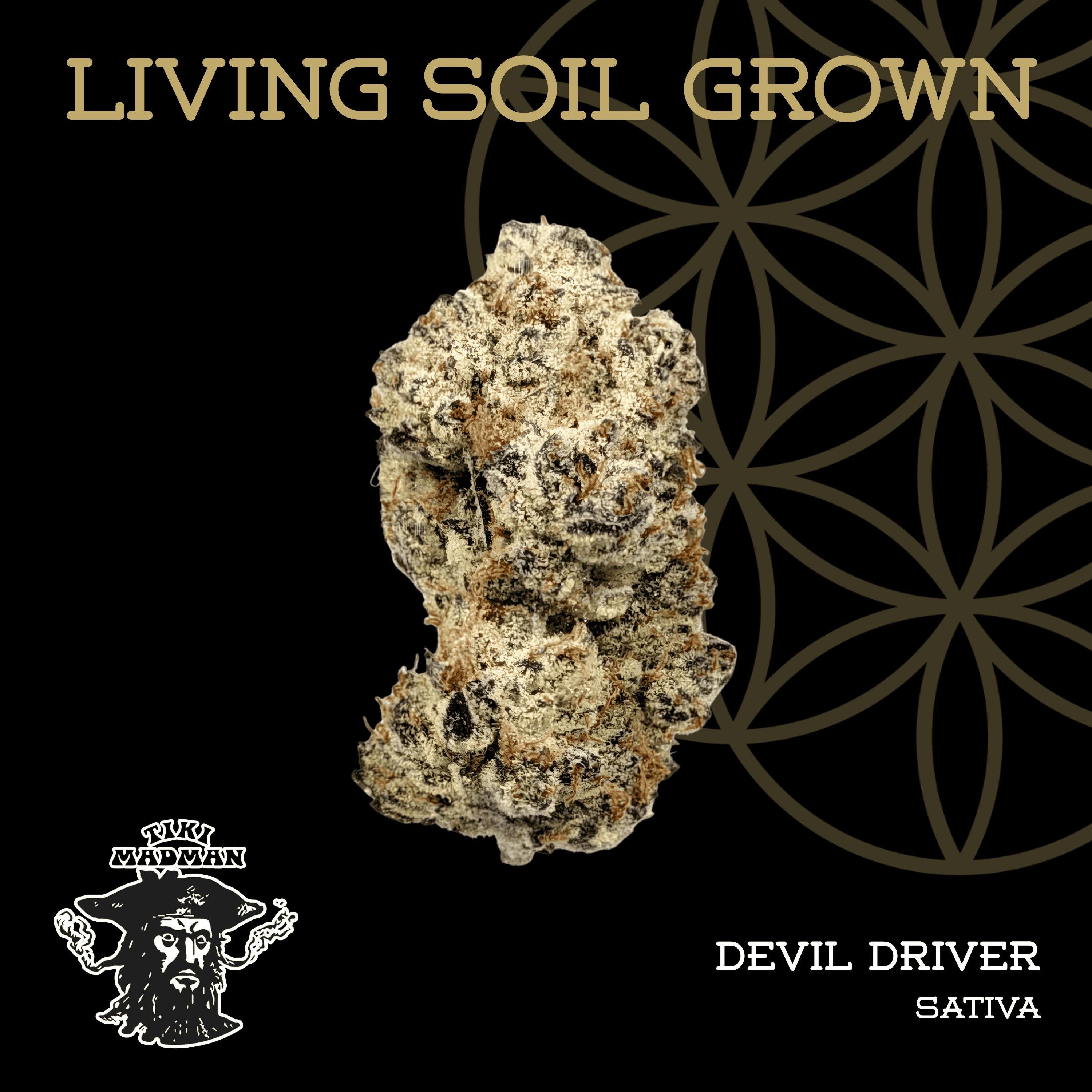 Detroit Runtz | Bulk Deli | Living Soil