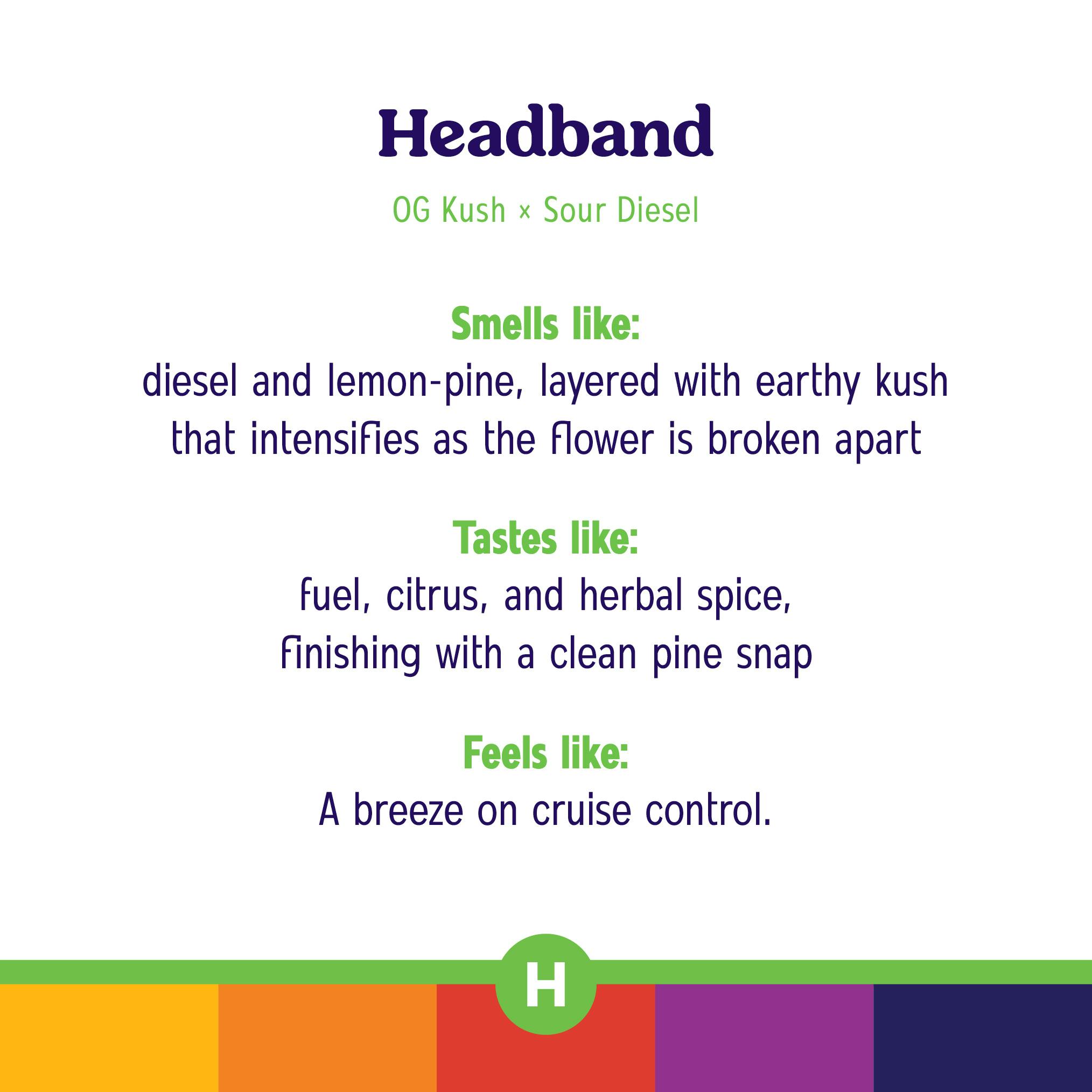 Headband Clutch All In One