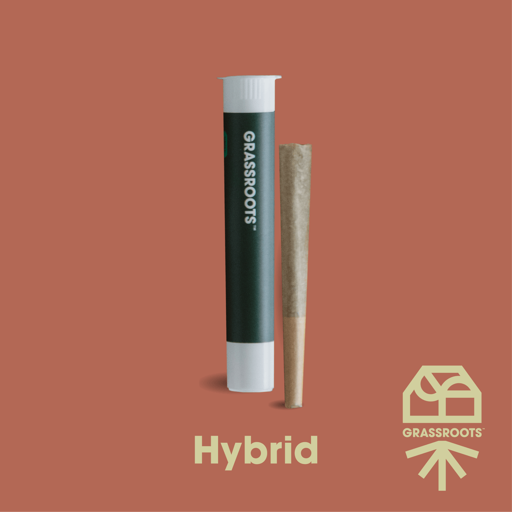 Grassroots Cap Junky Pre-Roll 1g at Curaleaf Dispensary Punta Gorda