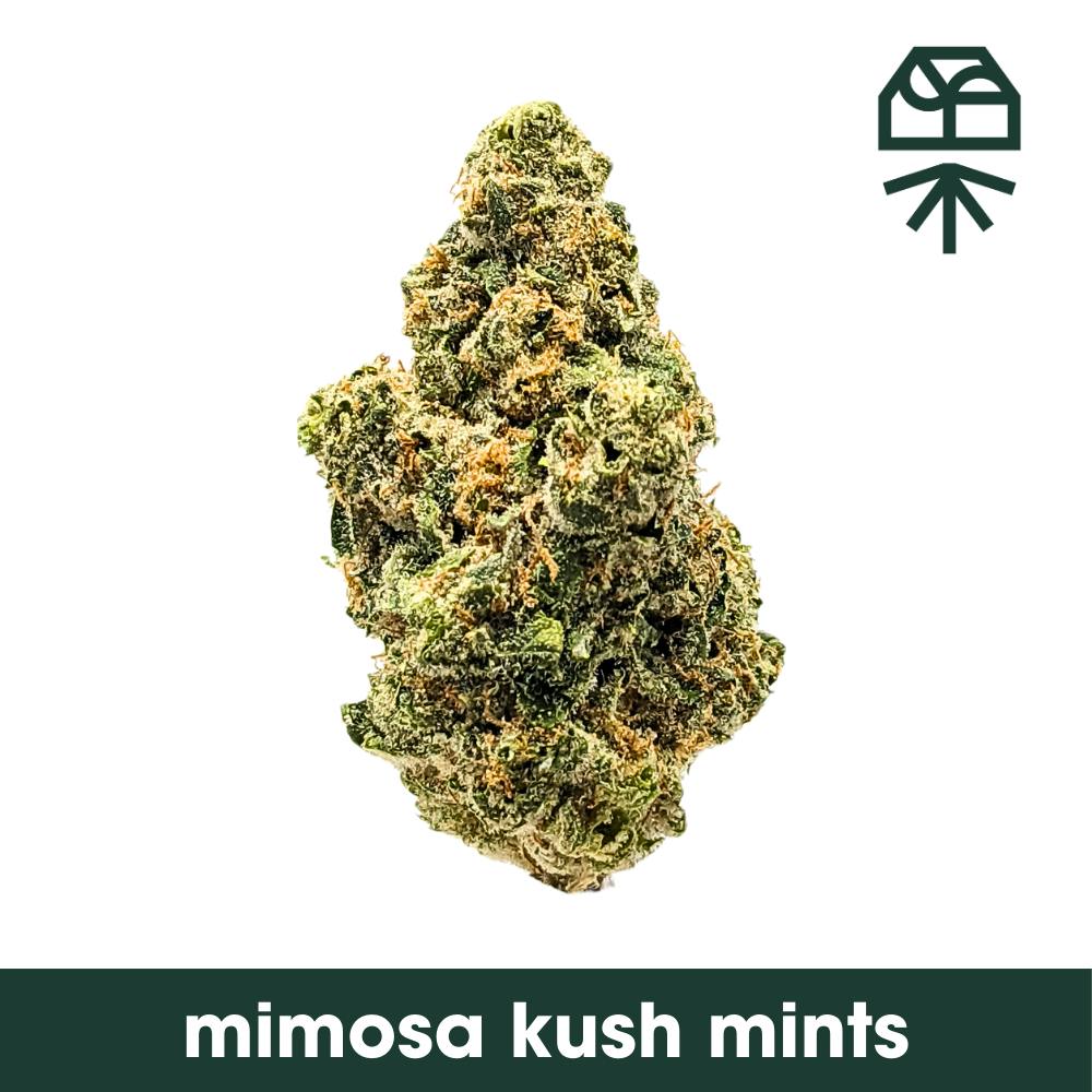 Grassroots Mimosa Kush Mints Whole Flower 3.5g at Curaleaf Dispensary Ellsworth