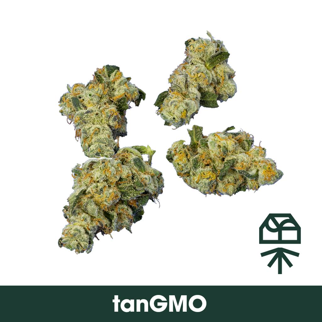 Grassroots TanGMO Smalls 3.5g