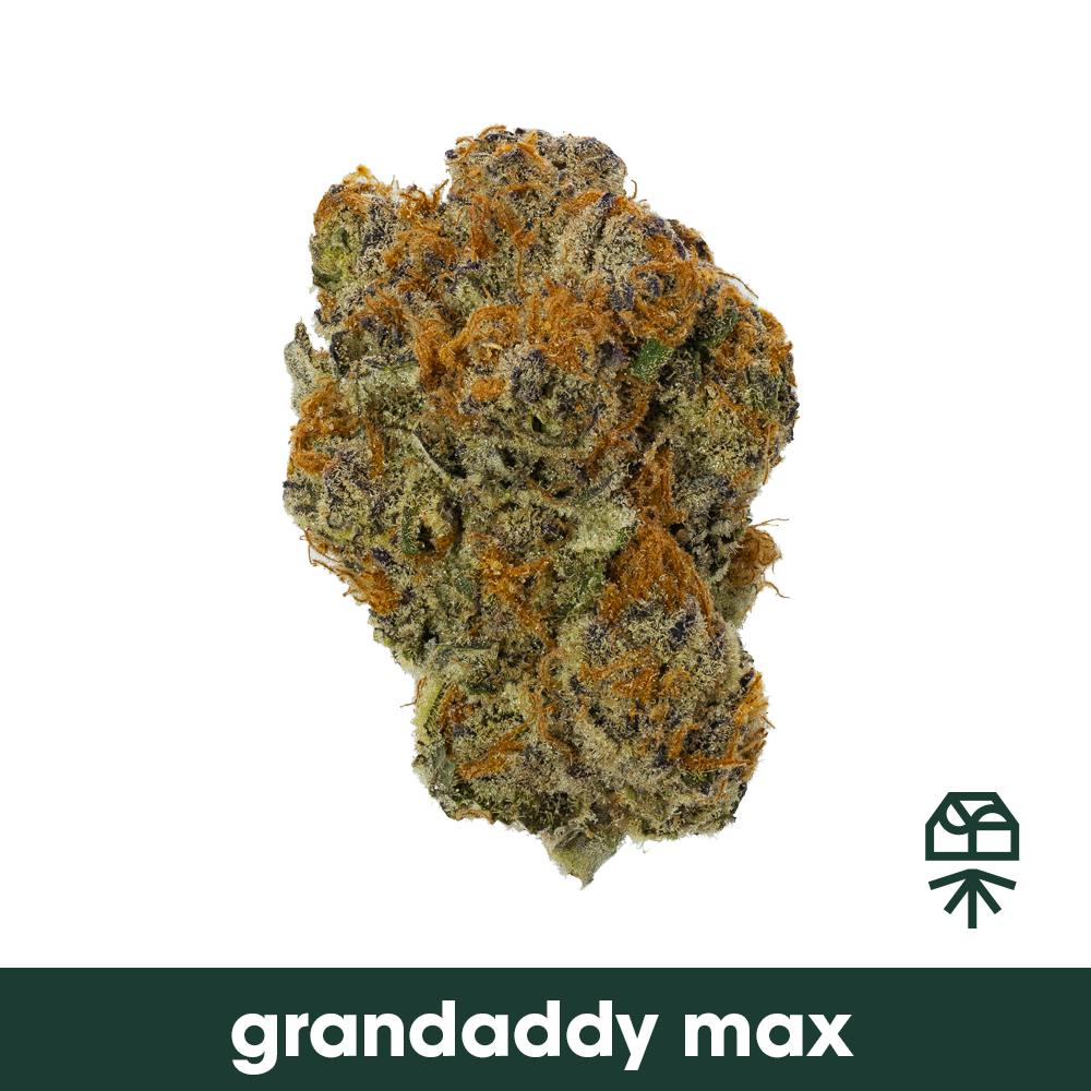 Grassroots Grandaddy Max Whole Flower 3.5g