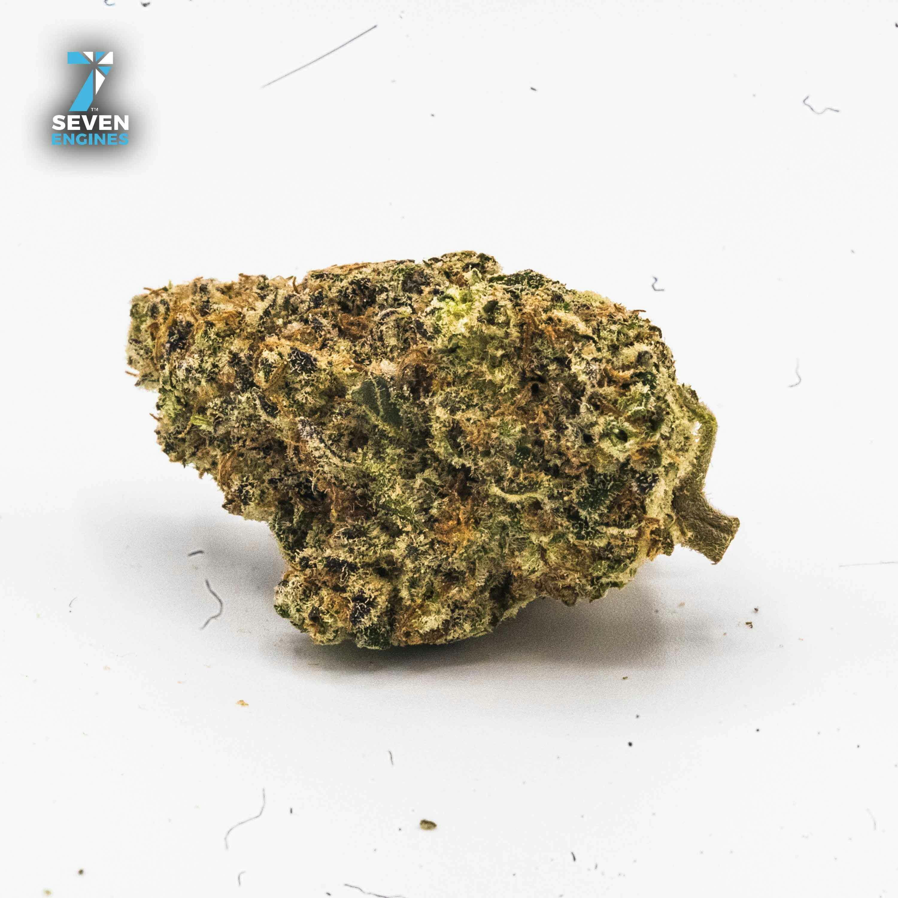 MEMBER BERRY 3.5G