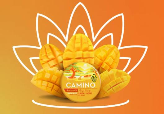 MANGO GUMMY | 20:20 CBD:THC