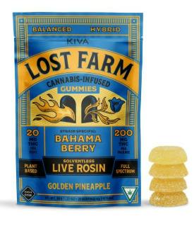 GOLDEN PINEAPPLE LIVE ROSIN GUMMY 200MG