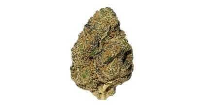 Chico Verde - Headbanger: 28g