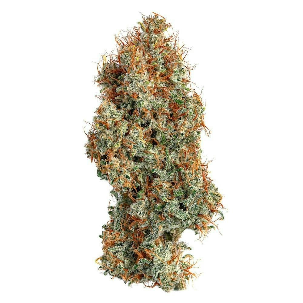 GMO Z | Flower