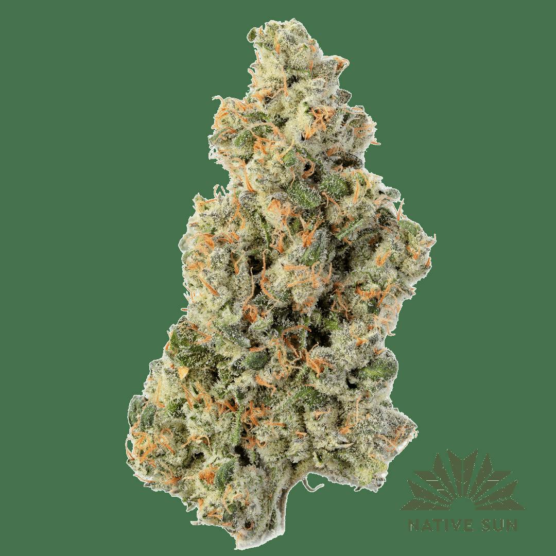 Sleezy Rider | Flower