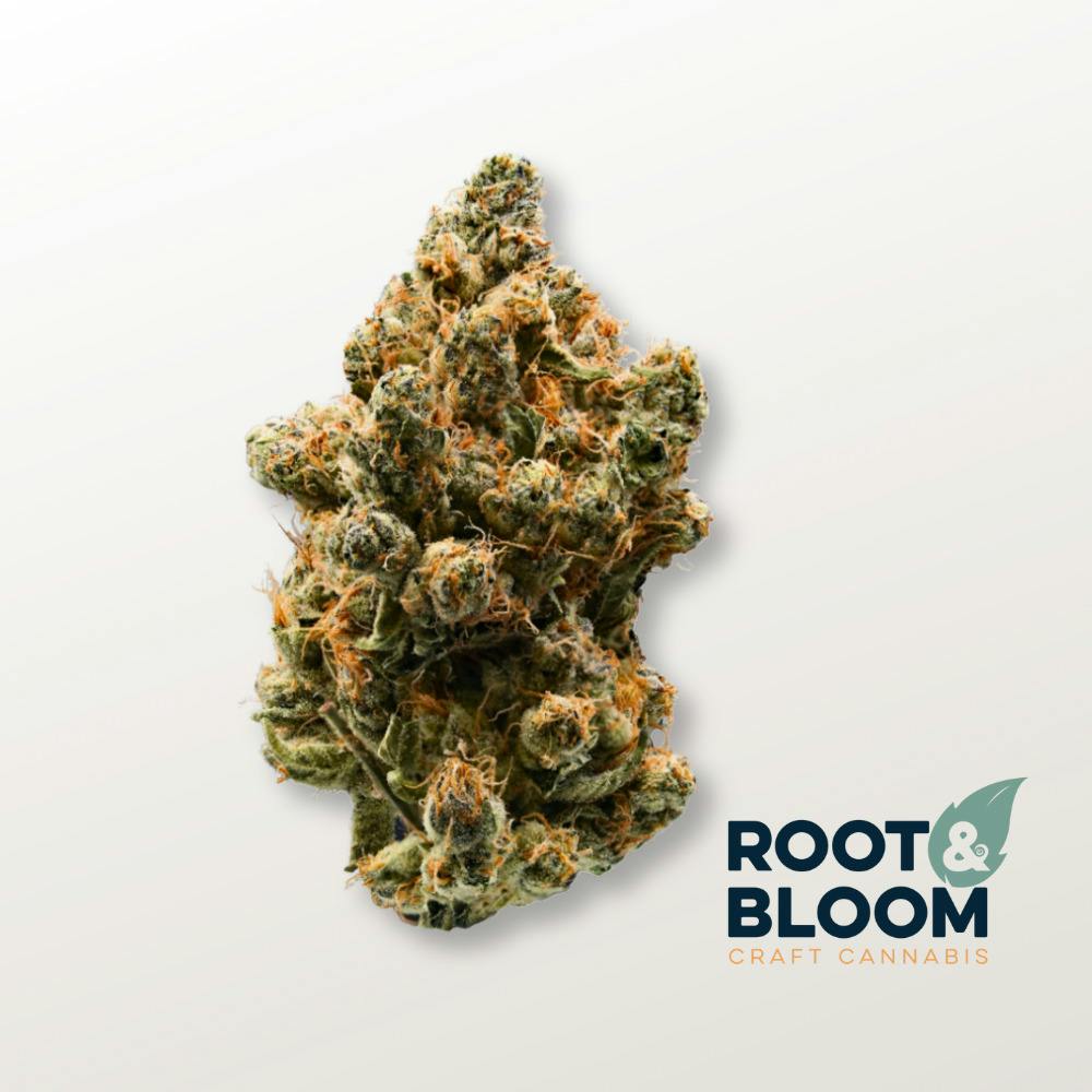 Gelato Punch | Flower