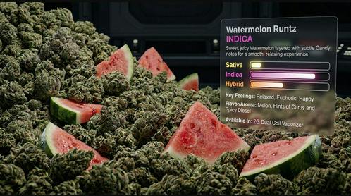 Watermelon Runtz | Live Resin Disposable