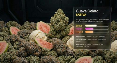 Guava Gelato | Live Resin Disposable cannabis product