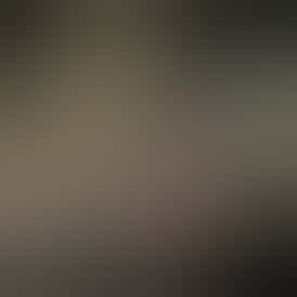 (AU) Apex Solventless .5g Rosin All-In-One - Gorilla Nut