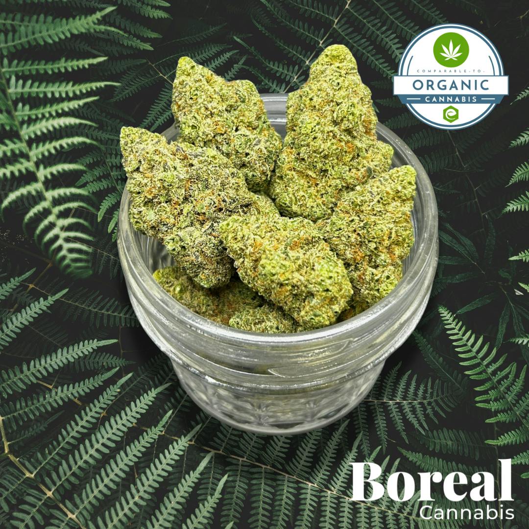 Melonade from Boreal Cannabis