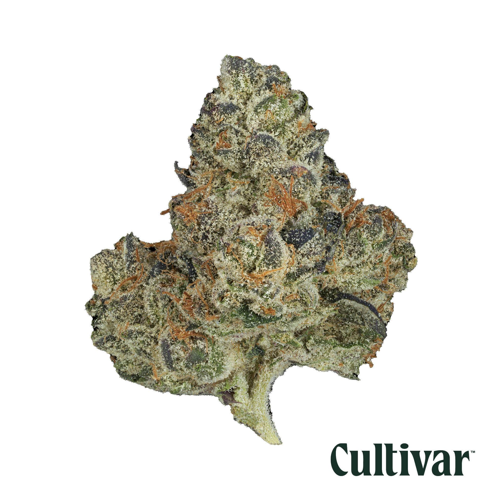 Pungent Perfection Flower
