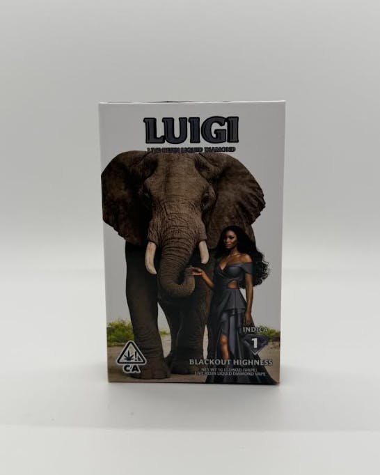 Luigi: Blackout Highness