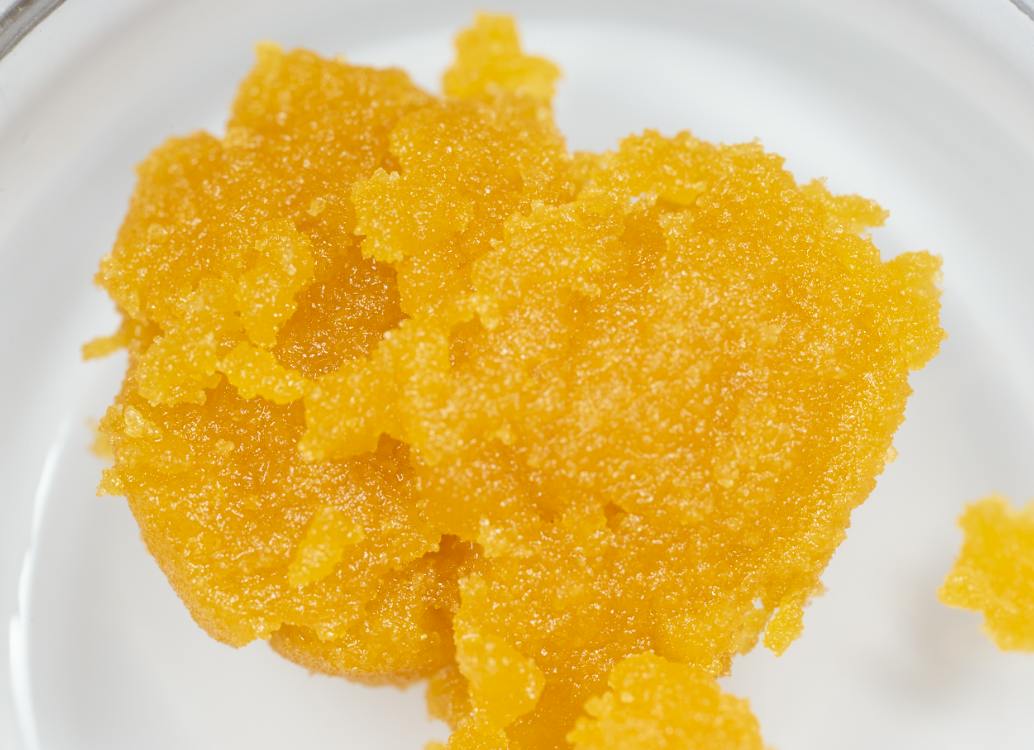 (REC) CSC Sugar Wax 4g Bucket - Bushwacker