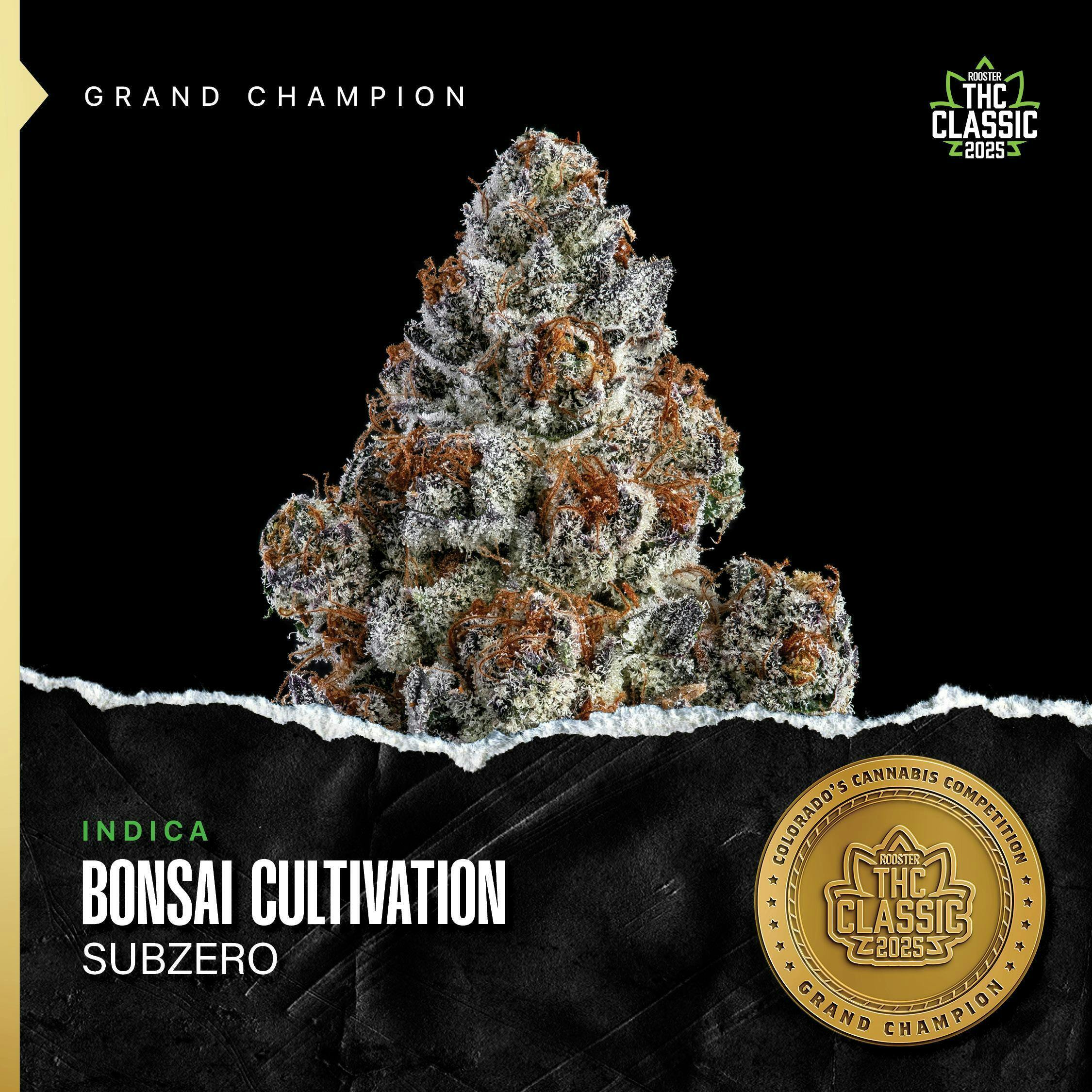 (REC) Subzero (Hybrid)