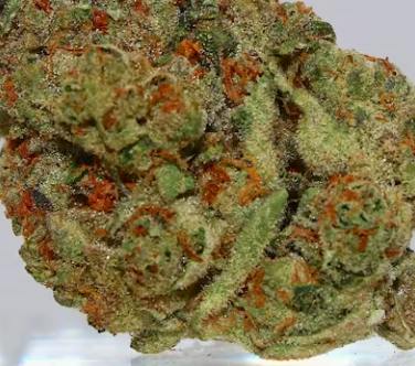 (REC) Buttermilk Biscuits (Indica)
