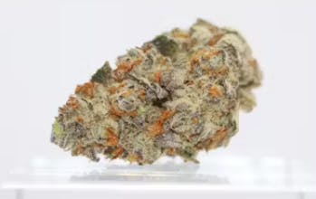 (REC) Grape Cream Cake (Indica)