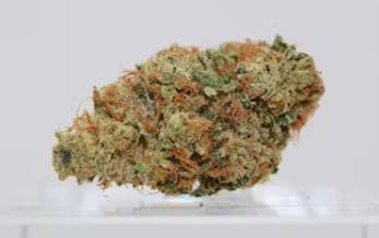(REC) Jet Fuel (Sativa)