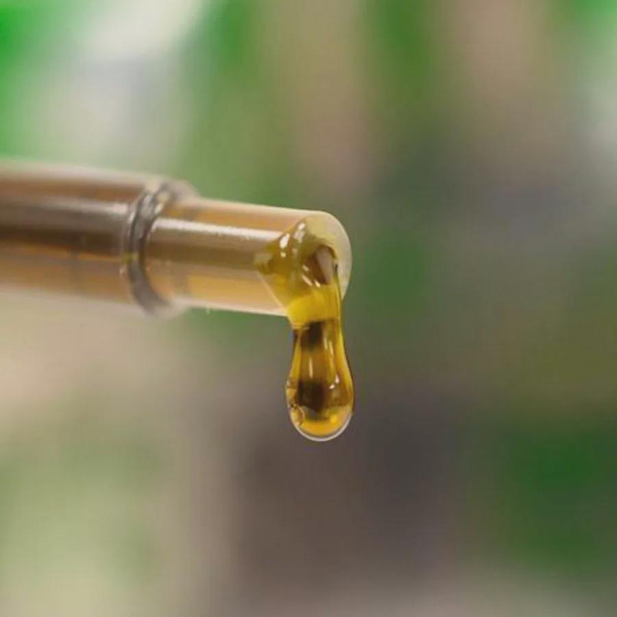 (REC) West Edison Activated Oil 1g - Sherb Cake