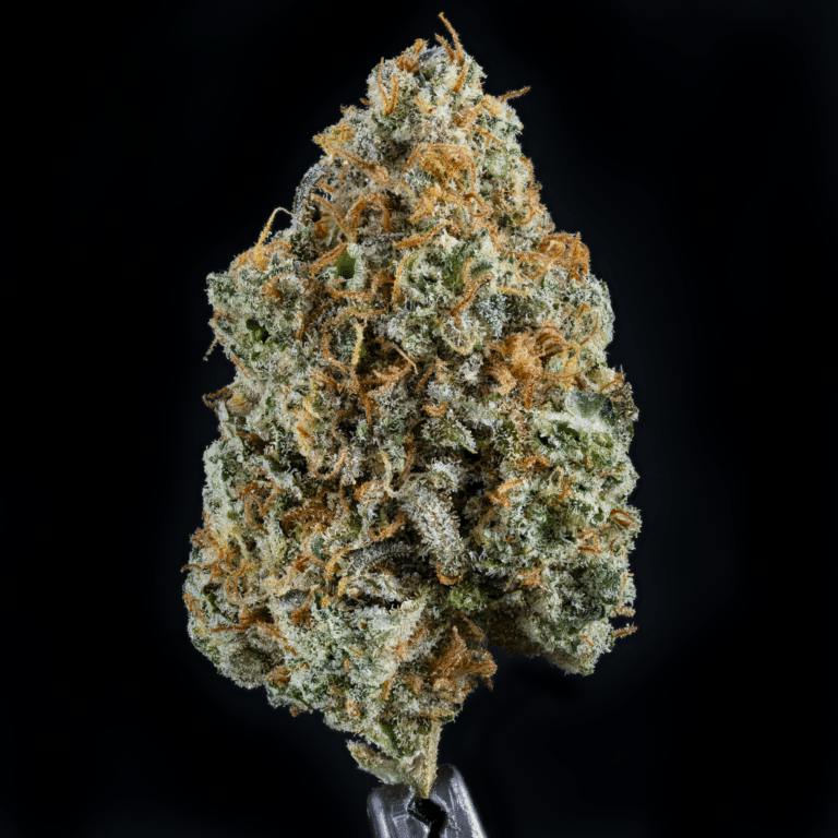 Purple AK (Indica)
