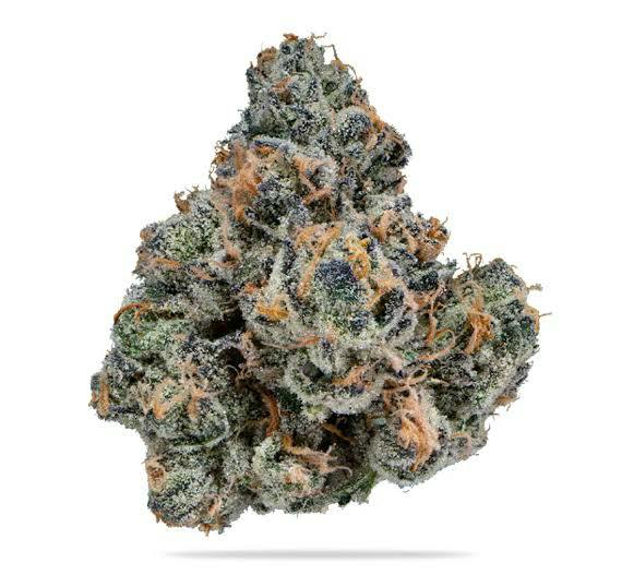 Gastro Pop White Diamond THCa | Blue Fox Brands - 3.5g