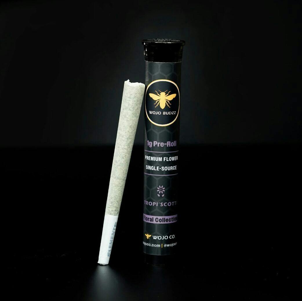 Wojo Pre-Roll Indica Brain Stain
