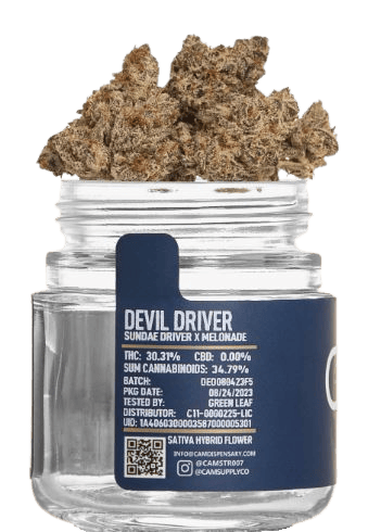 CAM — Devil Driver