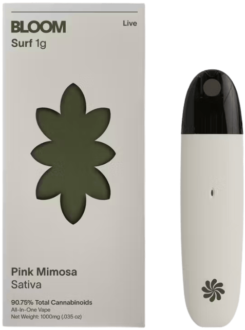BLOOM — Pink Mimosa