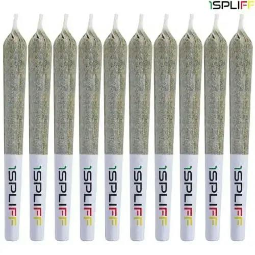 1SPLIFF | Sampler Collection Pre-Rolls | 12x0.5g