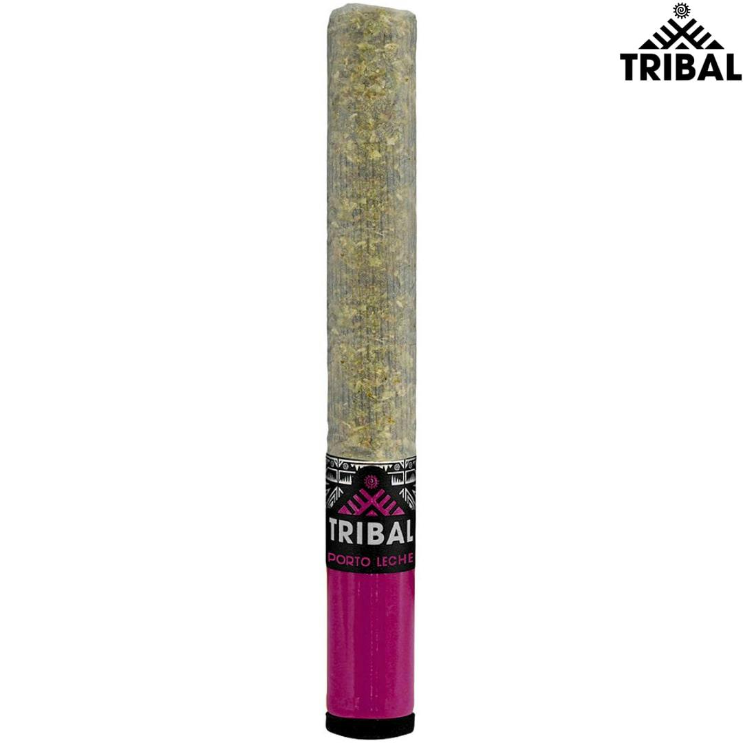 Tribal | Porto Leche Ceramic Tip Pre-Roll | 1x1g