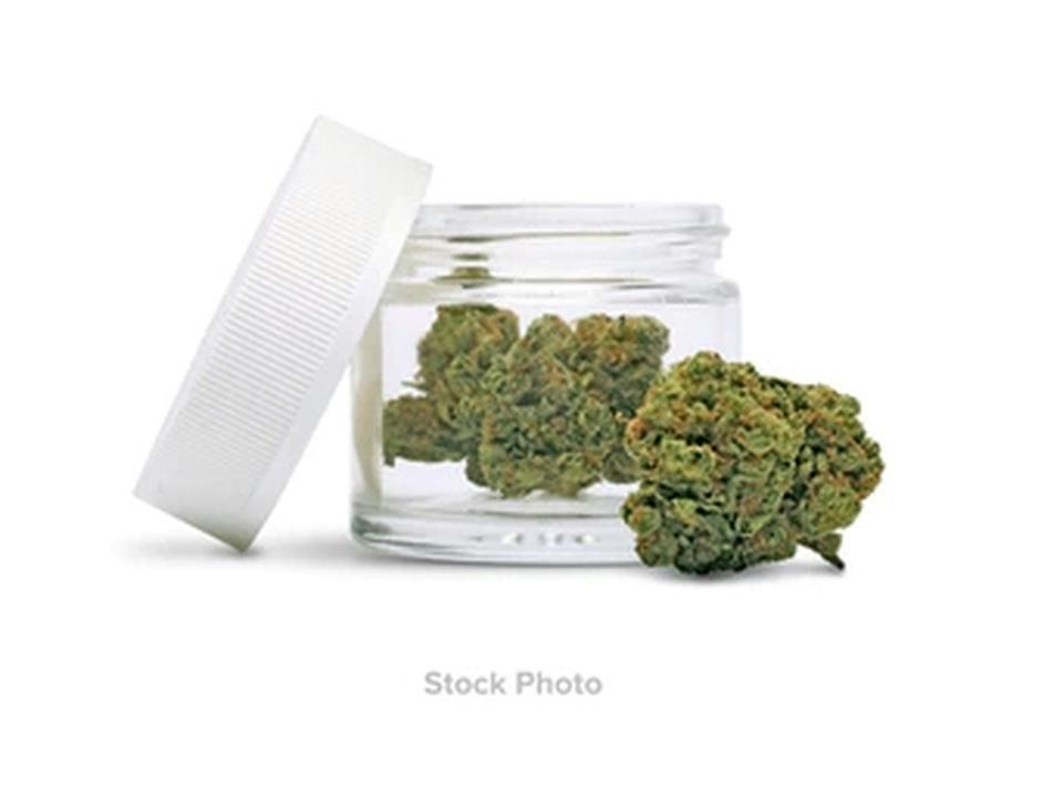 Purgro Silver Booger Loose