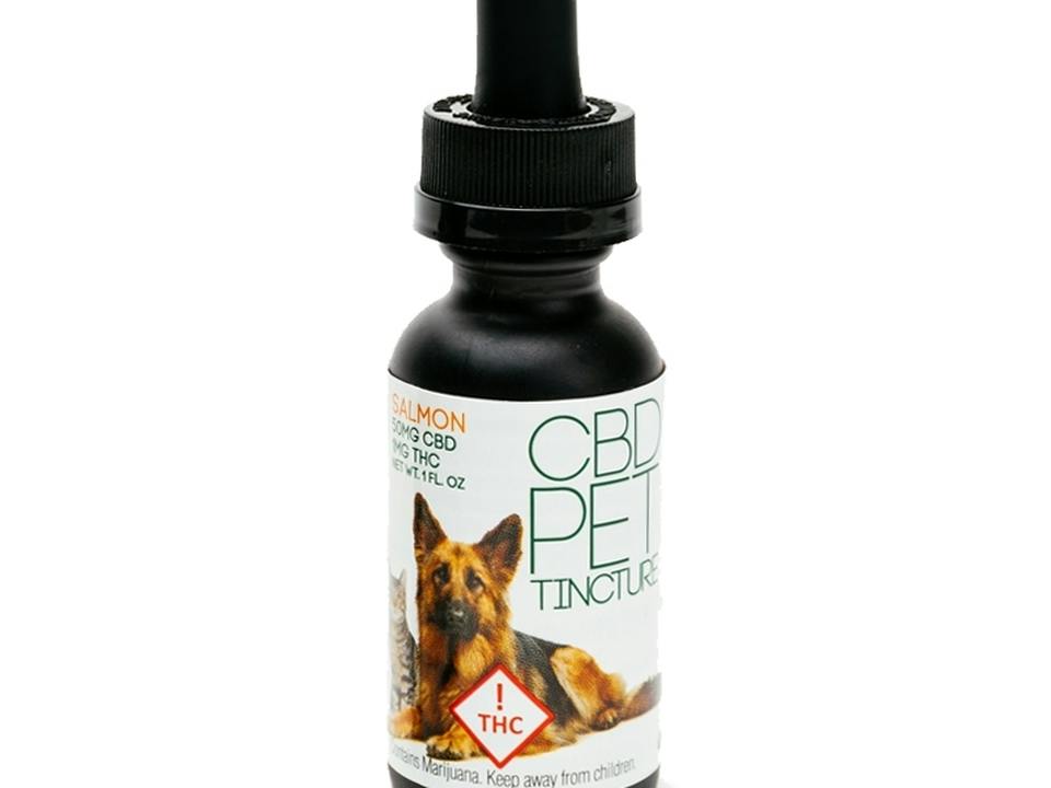 Beyond Broadway LLC: Pet Tincture - Bacon