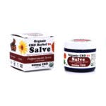 Peppermint Spice w/ Ginger CBD Herbal Salve 2.15oz (600mg CBD) at Tree House Craft Cannabis Groton
