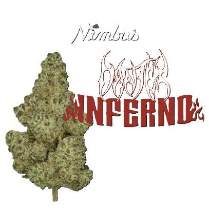 Dante's Inferno (3.5g)