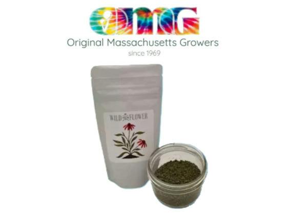 BB Zyrup Pre Ground (14g)
