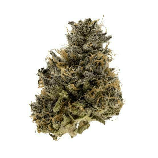 Project 4516 (3.5g)