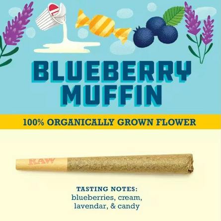 Blueberry Muffin Pre Roll (1g)