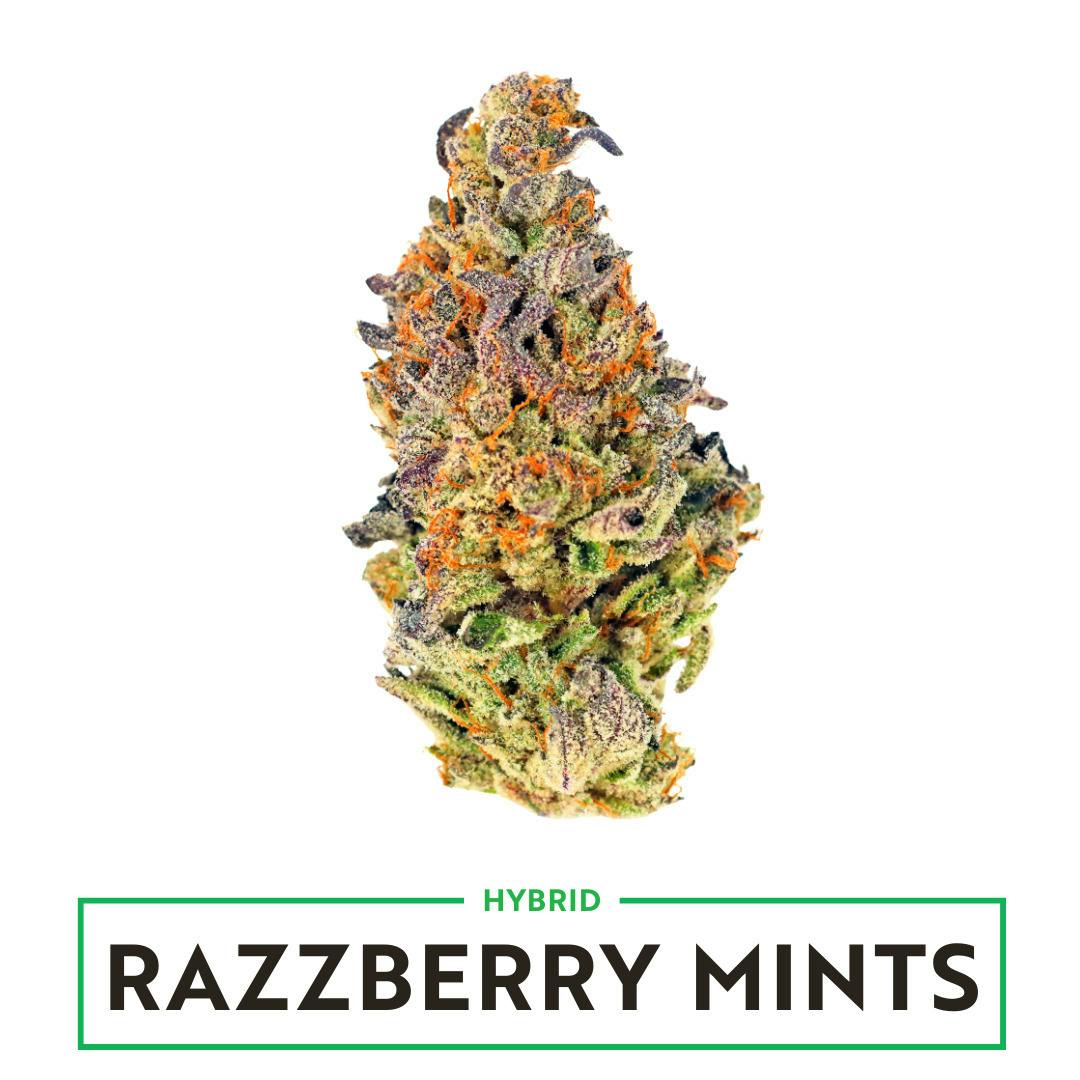 Razzberry Mints
