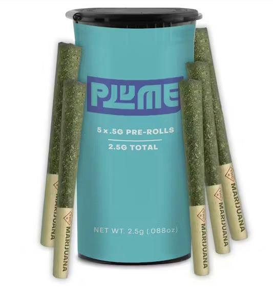 Orange Oasis | Infused PreRoll 5pk