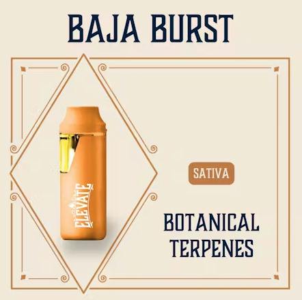 Baja Burst | Disposable