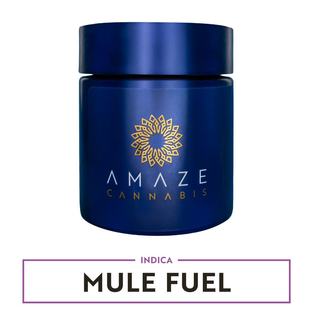 Mule Fuel