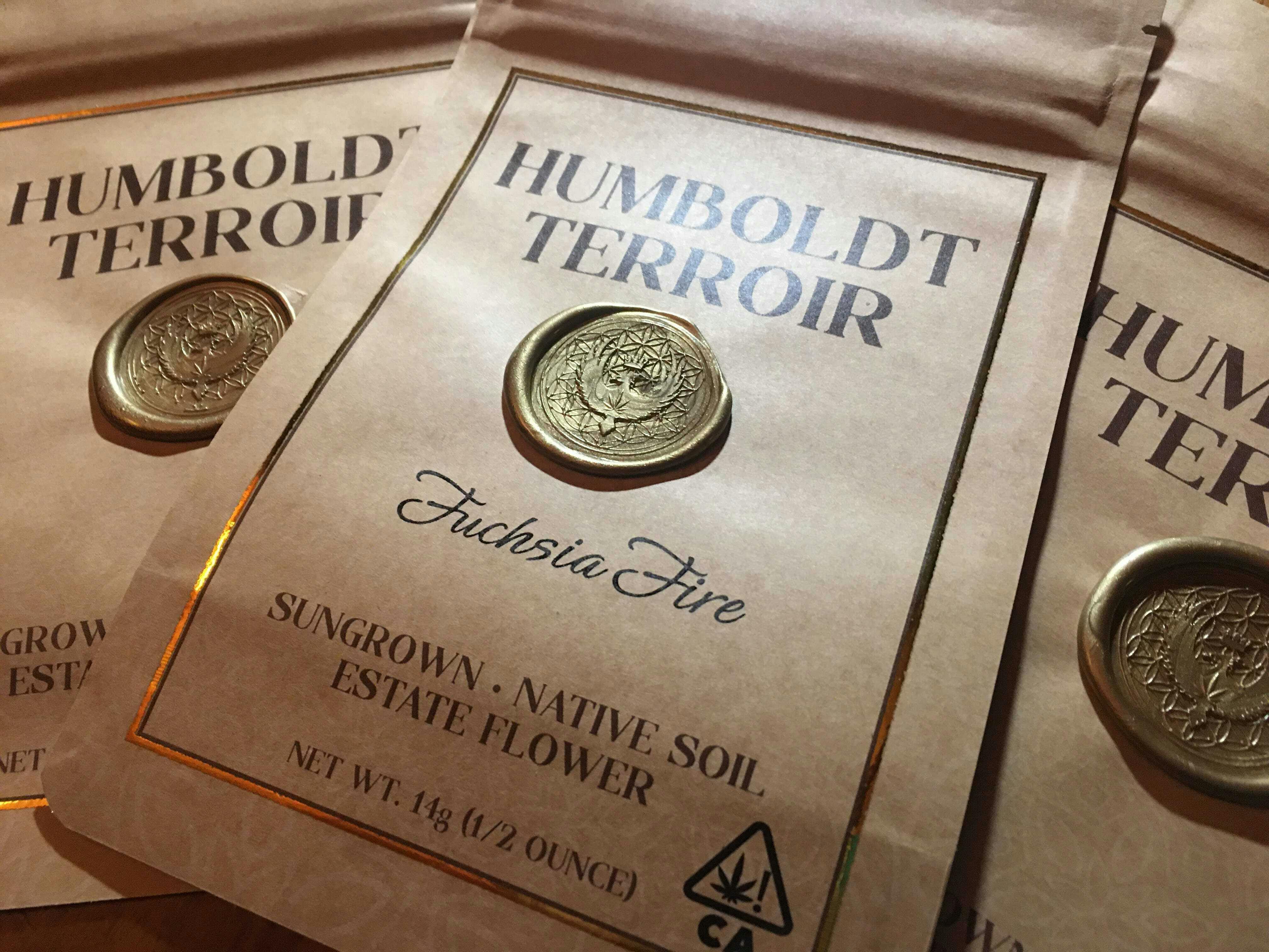 Humboldt Terrior - Fuchsia Fire 14g - 14 grams